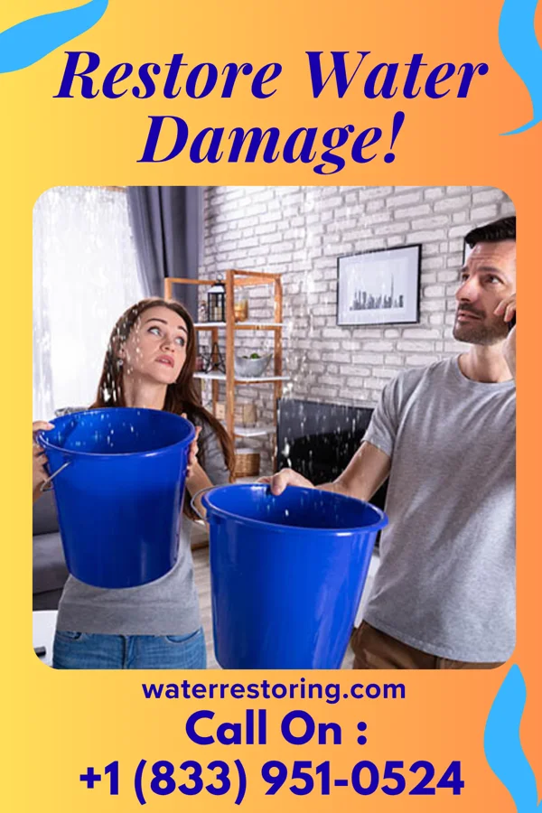 water restoration Expert Restoration Experts Greene